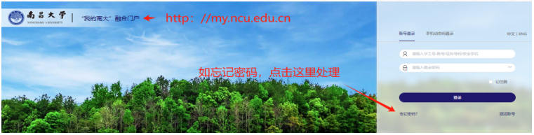 b9b8fd448ed74167b8f3c084a16a802a.png image.png