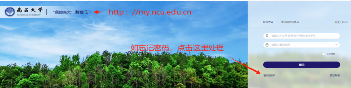 8d241f3c621e4bb4b7f17d1f8a802405.png image.png