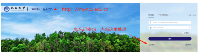 946b381581da4c8ca59498b26f21dce3.png 1744600132600.png